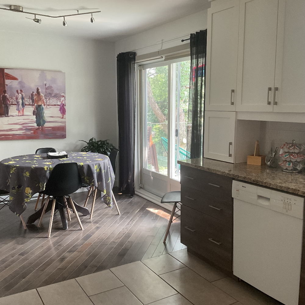 Le balcon vitree - 3