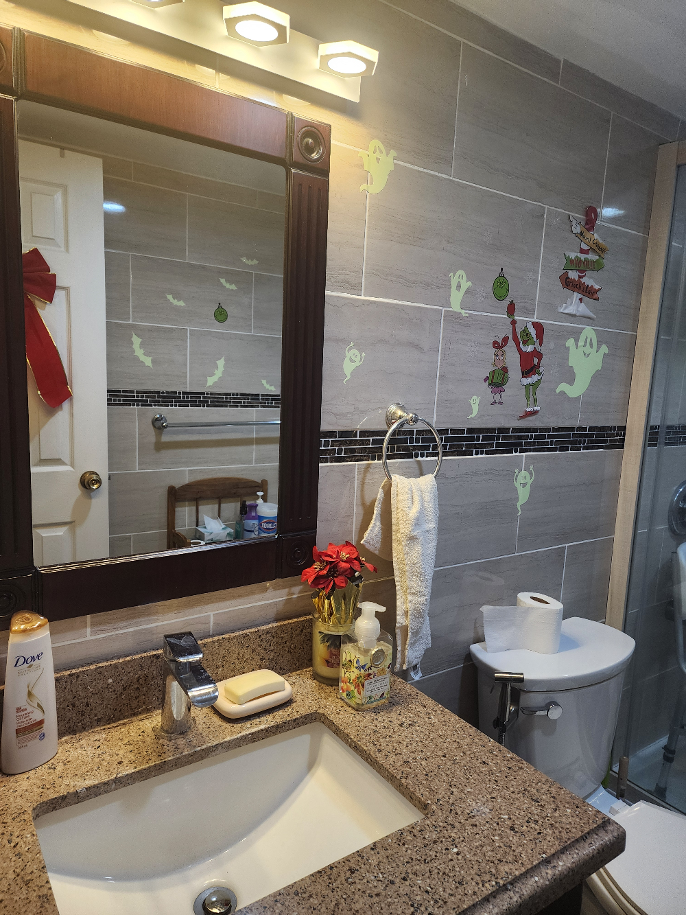 Room with private and shared washroom - 3